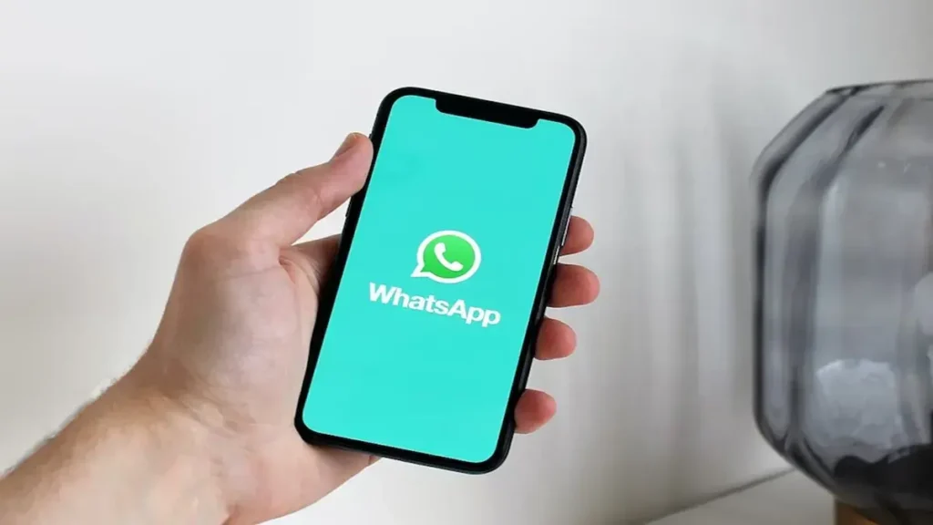 WhatsApp Leave India if